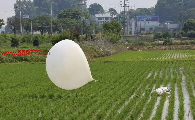 6月10日，韩国仁川的稻田庐，一个可能从朝鲜飘来的气球。图/视觉中国